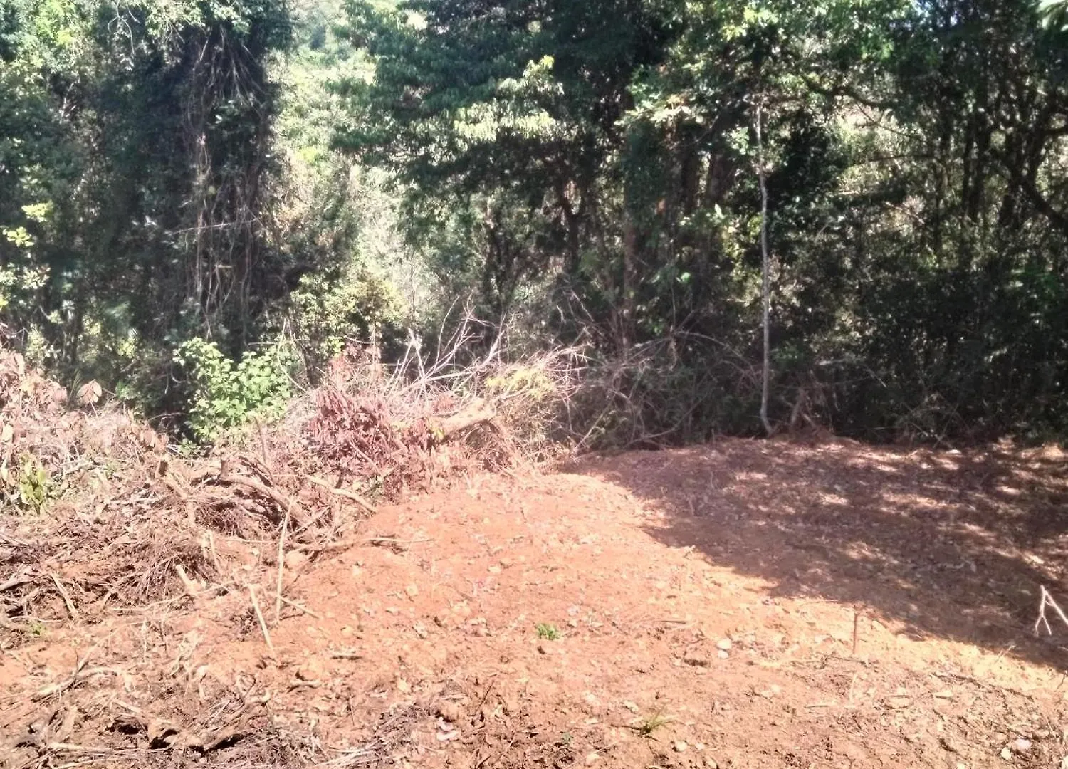 Séjour à la ferme Villa Spice Grow Koinakkad Vagamon à Pīrmed
