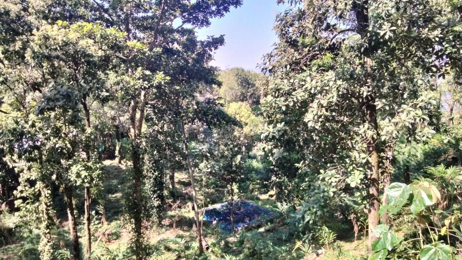 Villa Spice Grow Koinakkad Vagamon à Pīrmed Inde
